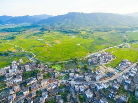 金龙山镇风景