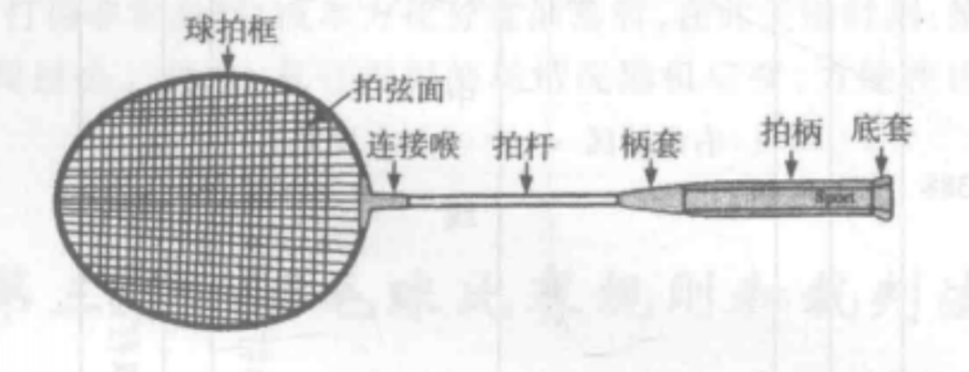 球拍墨线图