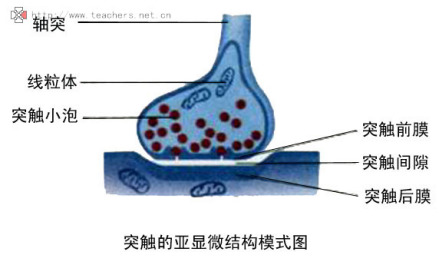 生物学