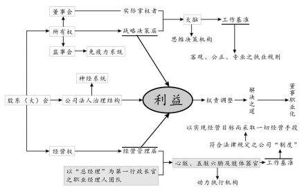 《公司治理标准》仿生解析图