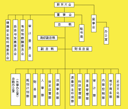 中国石油天然气股份有限公司治理结构