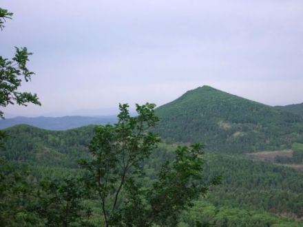 风景