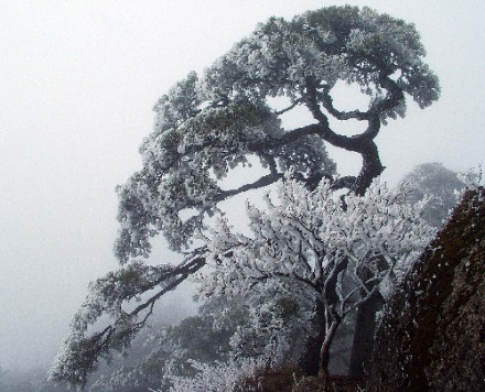 黄山