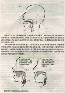 脑后音的技巧