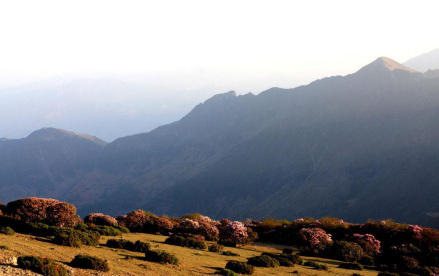 龙肘山