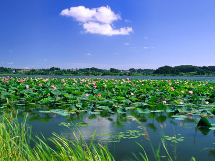 微山湖风景名胜区