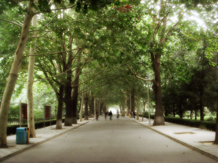 北京语言大学