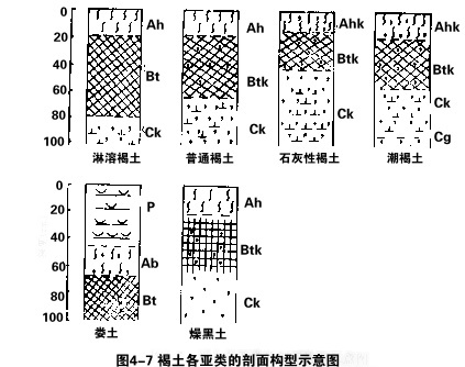 图4-7 褐土