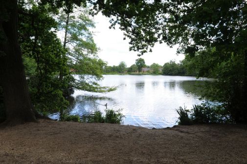 Whiteknights-lake