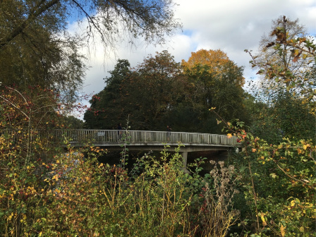 Whiteknights-lake