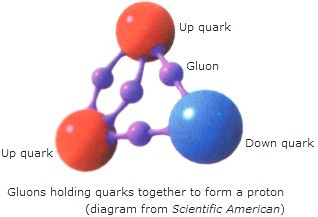 Gluon