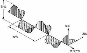 偏振光原理