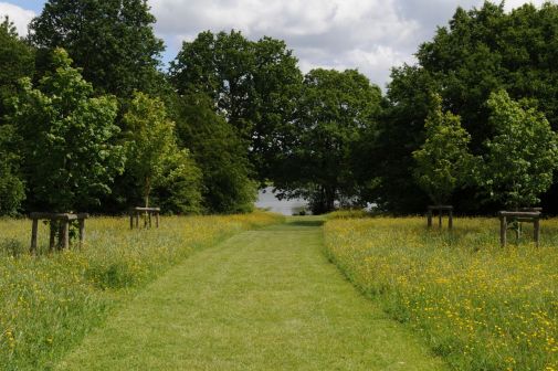 Whiteknights-lake