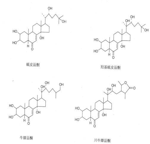 蜕皮激素