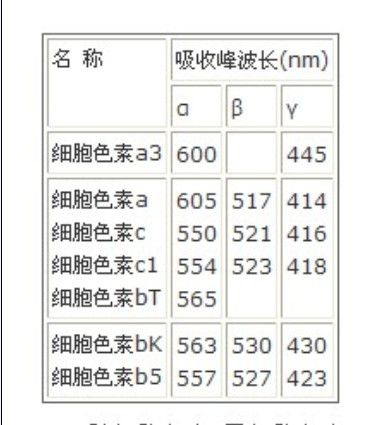 动物体内各种细胞色素的光谱