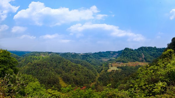 五条沟自然风景生态旅游区 