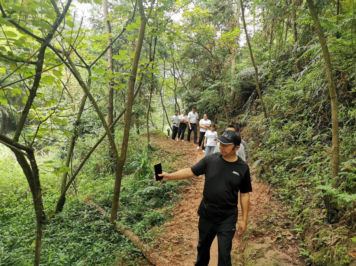 舒家坝黑龙谷自然风景区 