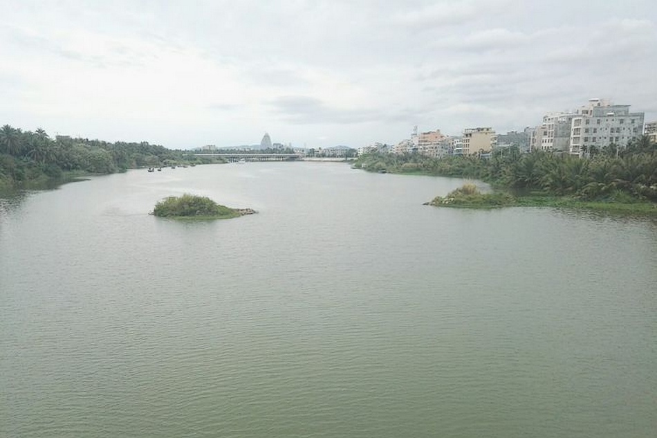 藤桥河入海口海棠区段