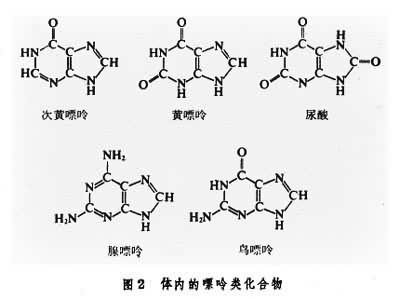 化合物分子式