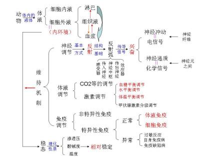 内环境