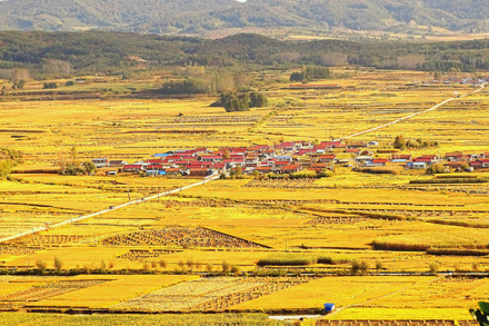 向阳镇风景