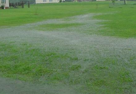 暴雨后径流