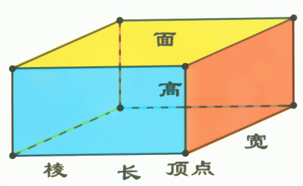 图1 长方体的认识