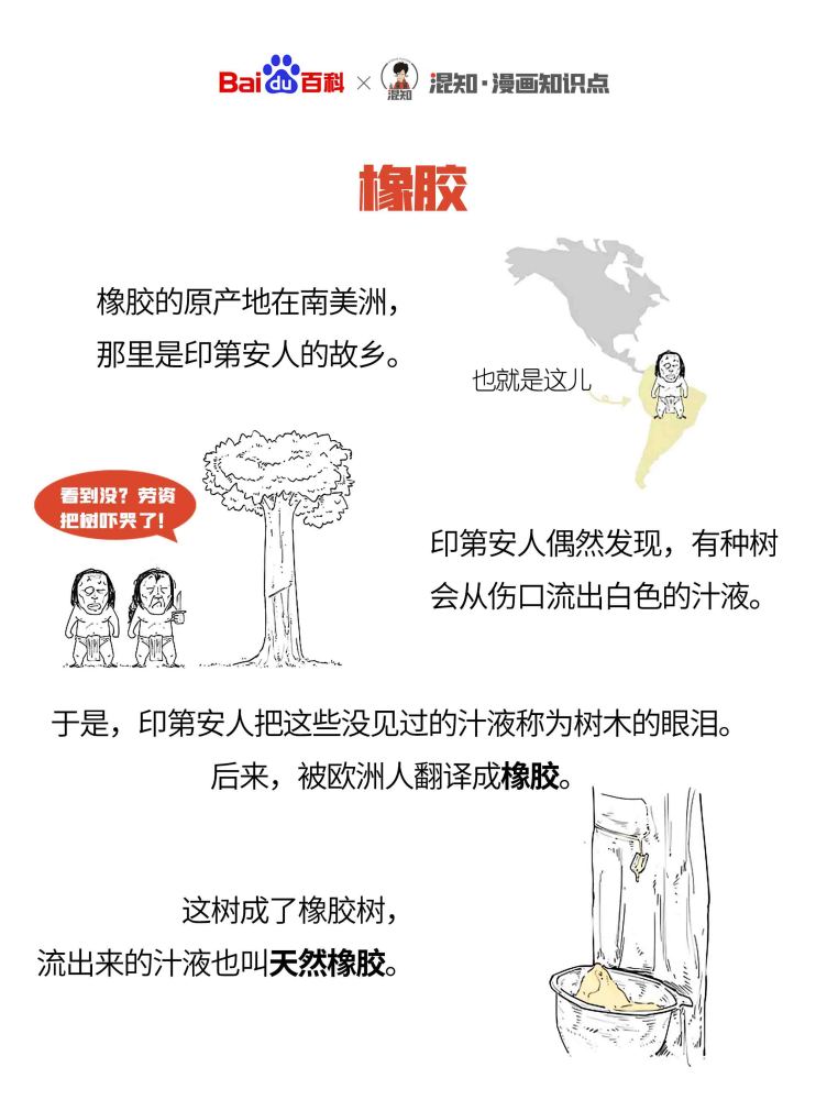 百科x混知：图解橡胶