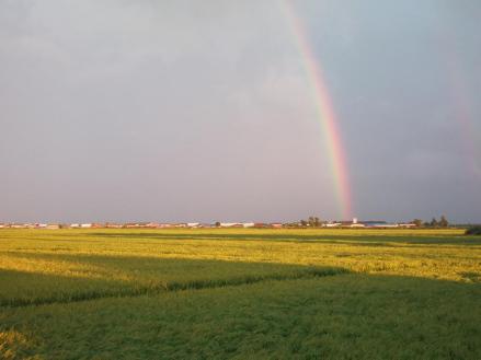 牛家满族镇景色