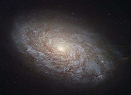 位于后发座的NGC 4414是一个典型的漩涡星系。