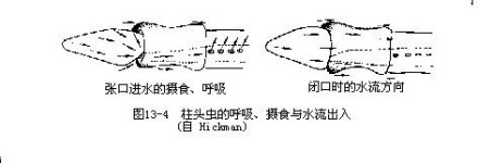 图13-4