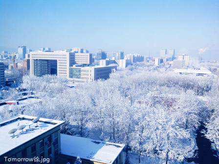 北语2013春雪