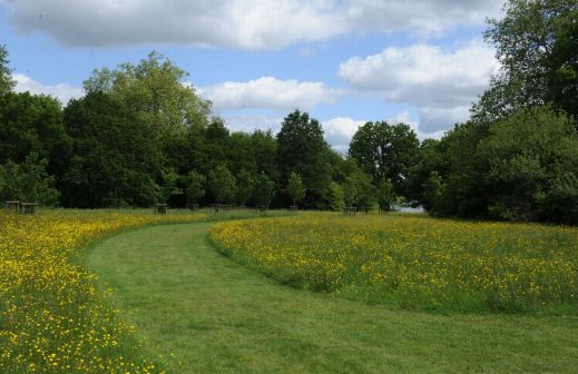 Whiteknights-lake