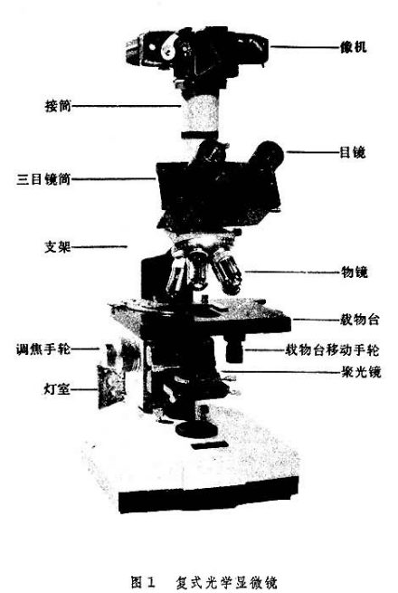 光学显微镜