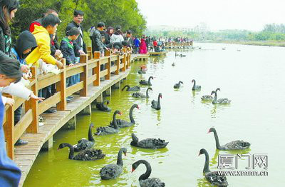 厦门五缘湾湿地公园