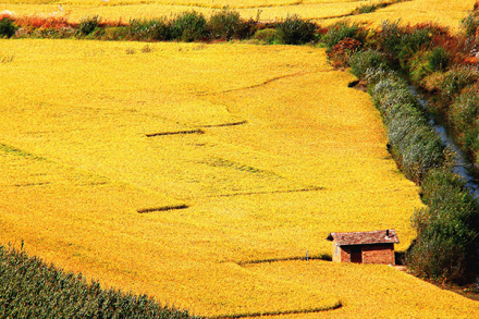 向阳镇风景