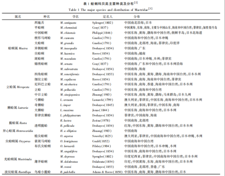 表1 蛤蜊科贝类主要种类及分布