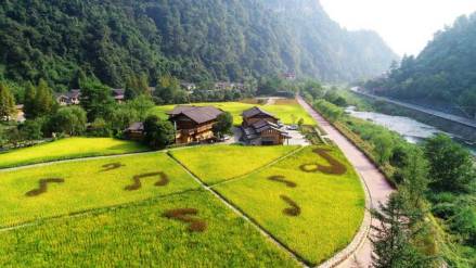 田园牧歌景观区