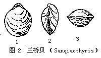 三桥贝