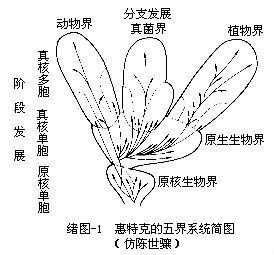 生物的分界