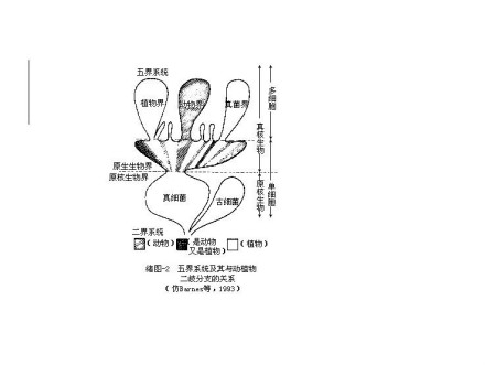 生物的分界