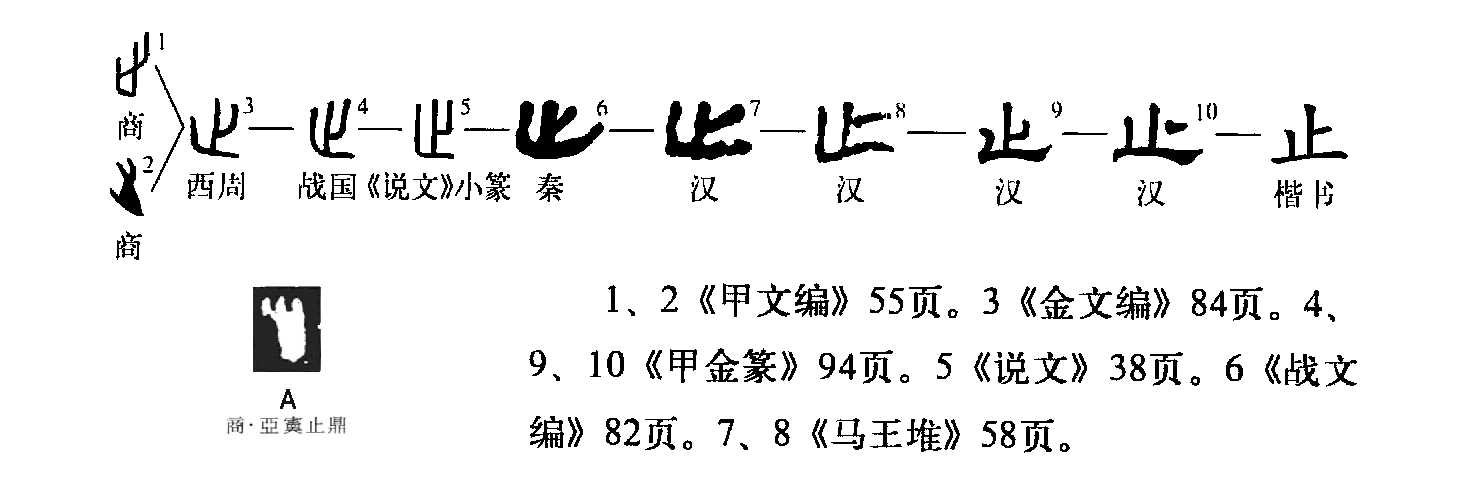 字形演变流程图（文中出现序号参照此图所示文字） 