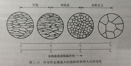 冷变形金属退火时晶粒形状和大小的变化