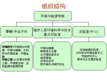 组织结构图