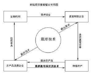 全要素生产率