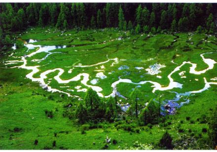 小金县美景