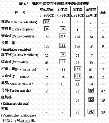 森林中鸟类在不同层次中的相对密度