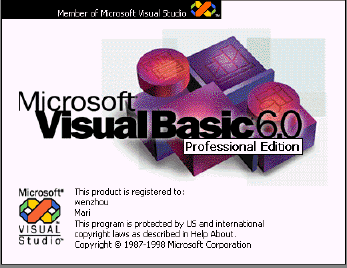 VB 6.0 启动画面