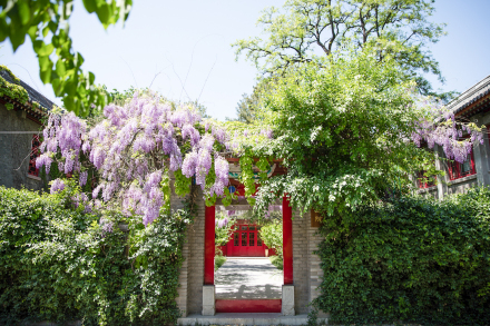 北京大学燕京学堂