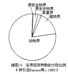 生物的分界